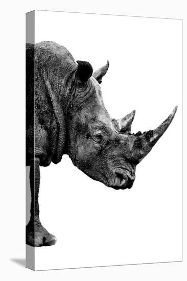 Safari Profile Collection - Rhino White Edition IV-Philippe Hugonnard-Premier Image Canvas