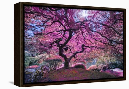 Pink Tree 2-Moises Levy-Framed Premier Image Canvas