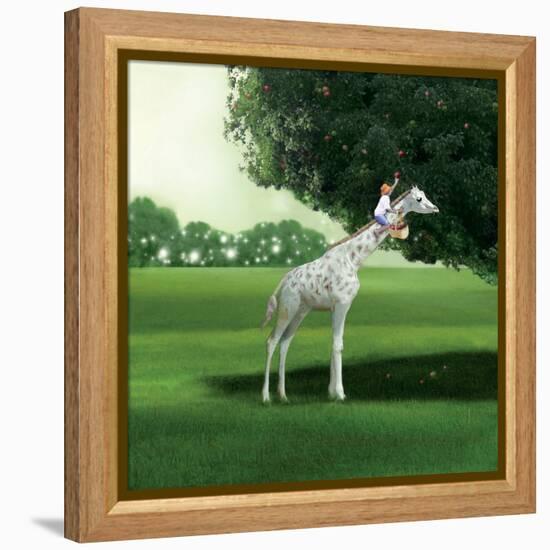Applepicking-Nancy Tillman-Framed Stretched Canvas