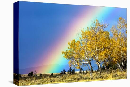 Rainbow over Aspens, Grand Teton National Park, Wyoming-Art Wolfe-Premier Image Canvas