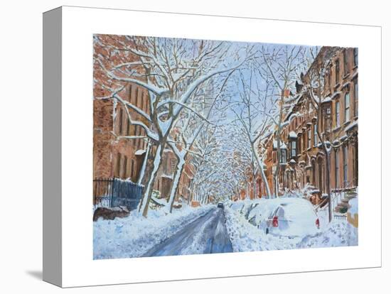 Snow, Remsen St. Brooklyn NY, 2012-Anthony Butera-Premier Image Canvas