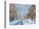 Snow, Remsen St. Brooklyn NY, 2012-Anthony Butera-Premier Image Canvas