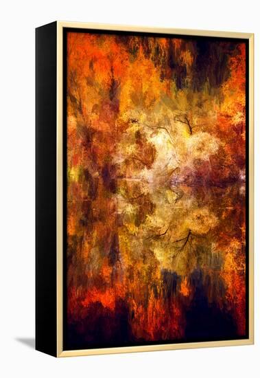 Mirror of the Soul-Philippe Sainte-Laudy-Framed Premier Image Canvas