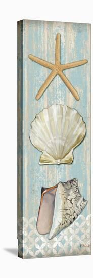 Spa Shells Vertical II-Paul Brent-Stretched Canvas