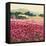 Le Jardin Rouge, Provence-Hazel Barker-Framed Stretched Canvas