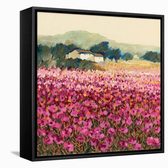 Le Jardin Rouge, Provence-Hazel Barker-Framed Stretched Canvas