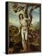 St. Sebastian-Giovanni Antonio Bazzi Sodoma-Premier Image Canvas