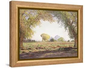 The Salt River Valley-Gunnar Widforss-Framed Premier Image Canvas