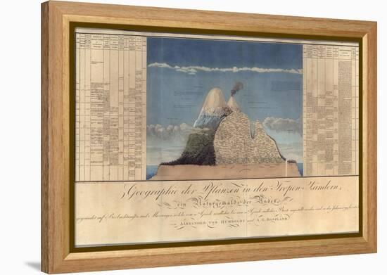 Geography of Plants in Tropical Countries, a Study of the Andes, Drawn by Schoenberger and…-Friedrich Alexander, Baron Von Humboldt-Framed Premier Image Canvas