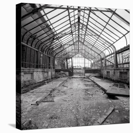 Once a Greenhouse-Evan Morris Cohen-Premier Image Canvas