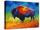 Master Of His Herd-Marion Rose-Premier Image Canvas