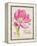 Sketchbook Tulip-Chad Barrett-Framed Stretched Canvas