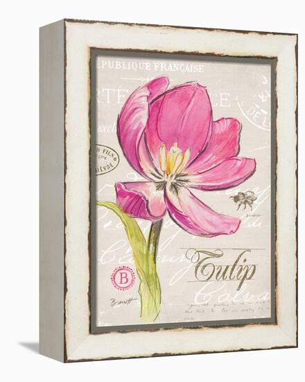 Sketchbook Tulip-Chad Barrett-Framed Stretched Canvas