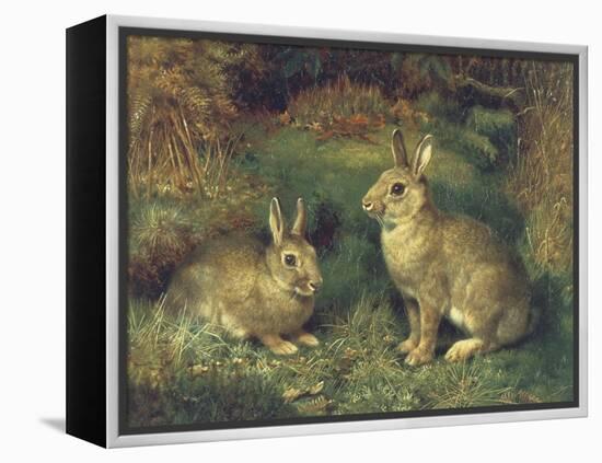 Rabbits-Henry Carter-Framed Premier Image Canvas