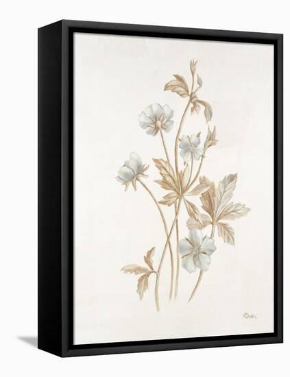 French Botanicals III-Rikki Drotar-Framed Premier Image Canvas