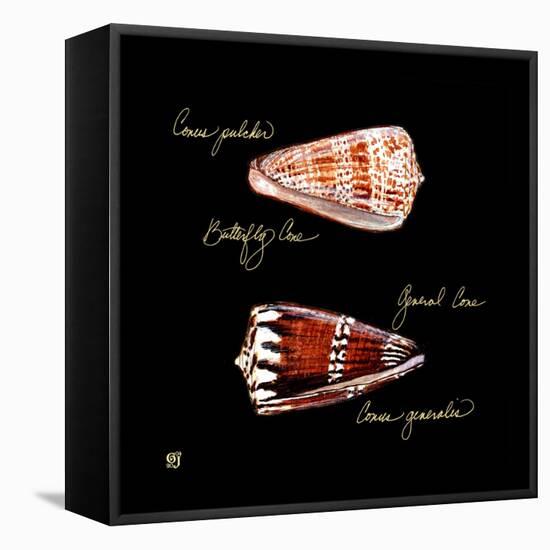 Striking Shells III-Ginny Joyner-Framed Stretched Canvas