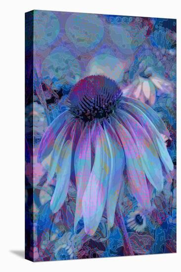 Cone Flower, Blue, Blue Flower, Echinacea-Scott J. Davis-Premier Image Canvas