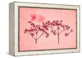 Hydrangea-Graeme Harris-Framed Premier Image Canvas