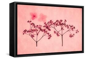 Hydrangea-Graeme Harris-Framed Premier Image Canvas