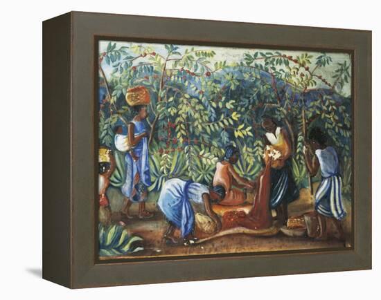 Madagascar, Harvesting Coffee Beans, 20th Century-null-Framed Premier Image Canvas