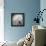 Dark Ranunculus I-Judy Stalus-Framed Premier Image Canvas displayed on a wall