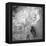Dark Ranunculus I-Judy Stalus-Framed Premier Image Canvas
