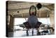 U.S. Air Force F-22A Raptor Parked in its Shelter at Holloman Air Force Base-Stocktrek Images-Premier Image Canvas