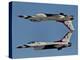 U.S. Air Force Thunderbirds Demonstrate the Calypso Pass-Stocktrek Images-Premier Image Canvas