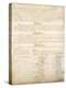 U.S. Constitution Page 4 Plastic Sign-null-Stretched Canvas