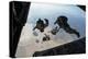 U.S. Pararescuemen and U.S. Marines Jump from a Hc-130 over Djibouti-Stocktrek Images-Premier Image Canvas