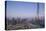 UAE, Downtown Dubai. Cityscape with Burj Khalifa.-Walter Bibikow-Premier Image Canvas