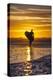 Uk, Cornwall, Polzeath. a Woman Comes in from an Evening Surf Against a Stunning Sunset.-Niels Van Gijn-Premier Image Canvas