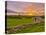 UK, England, Derbyshire, Peak District National Park, River Manifold Valley Near Ilam,Dry Stone Wal-Alan Copson-Premier Image Canvas