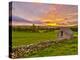 UK, England, Derbyshire, Peak District National Park, River Manifold Valley Near Ilam,Dry Stone Wal-Alan Copson-Premier Image Canvas