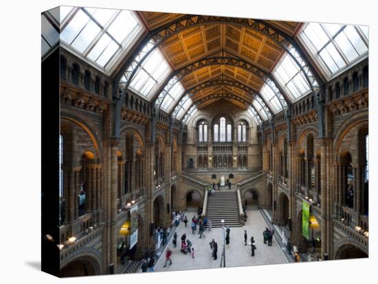 UK, Enlgland, London, South Kensington, Natural History Museum, the Central Hall-Alan Copson-Premier Image Canvas