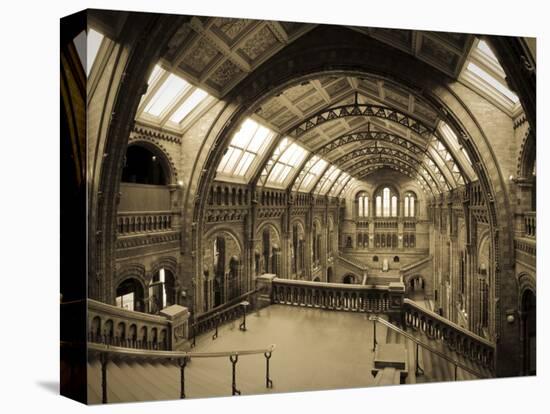 UK, Enlgland, London, South Kensington, Natural History Museum, the Central Hall-Alan Copson-Premier Image Canvas