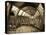 UK, Enlgland, London, South Kensington, Natural History Museum, the Central Hall-Alan Copson-Premier Image Canvas