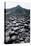 UK, Northern Ireland, County Antrim, Prismatic Basalt Columns of Giant's Causeway-null-Premier Image Canvas