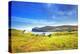 Uk, Scotland, Inner Hebrides-Ken Scicluna-Premier Image Canvas