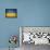 Ukraine-David Bowman-Premier Image Canvas displayed on a wall