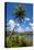 Umatac Bay, Guam, Us Territory, Central Pacific-Michael Runkel-Premier Image Canvas