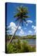 Umatac Bay, Guam, Us Territory, Central Pacific-Michael Runkel-Premier Image Canvas
