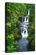 Umauma Falls along the lush Hamakua Coast, The Big Island, Hawaii, USA-Russ Bishop-Premier Image Canvas