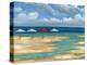 Umbrella Beachscape III-Paul Brent-Stretched Canvas