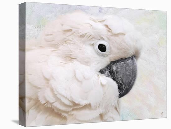 Umbrella Cockatoo Portrait-Jai Johnson-Premier Image Canvas