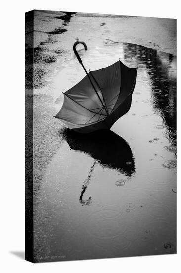 Umbrella in Puddle-Sharon Wish-Premier Image Canvas
