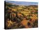 Umbria Panorama-S^ Hinus-Stretched Canvas