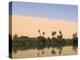 Umm El Ma Lake, Erg Awbari, Sahara Desert, Fezzan, Libya, North Africa, Africa-Pitamitz Sergio-Premier Image Canvas