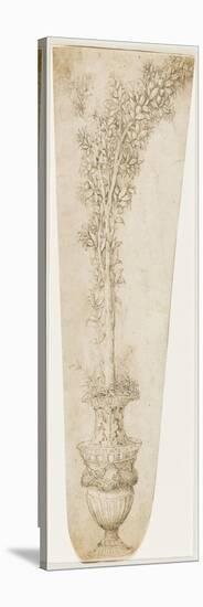 Un vase et une branche d'oranger-Andrea Mantegna-Premier Image Canvas
