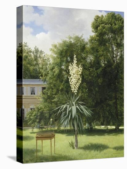 Un Yucca gloriosa dans le parc de Neuilly-Antoine Chazal-Premier Image Canvas